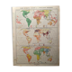 Map and photographic plate on human races from 1951