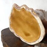 Yorkshire dog slip pitcher
