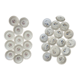 24 fine porcelain plates