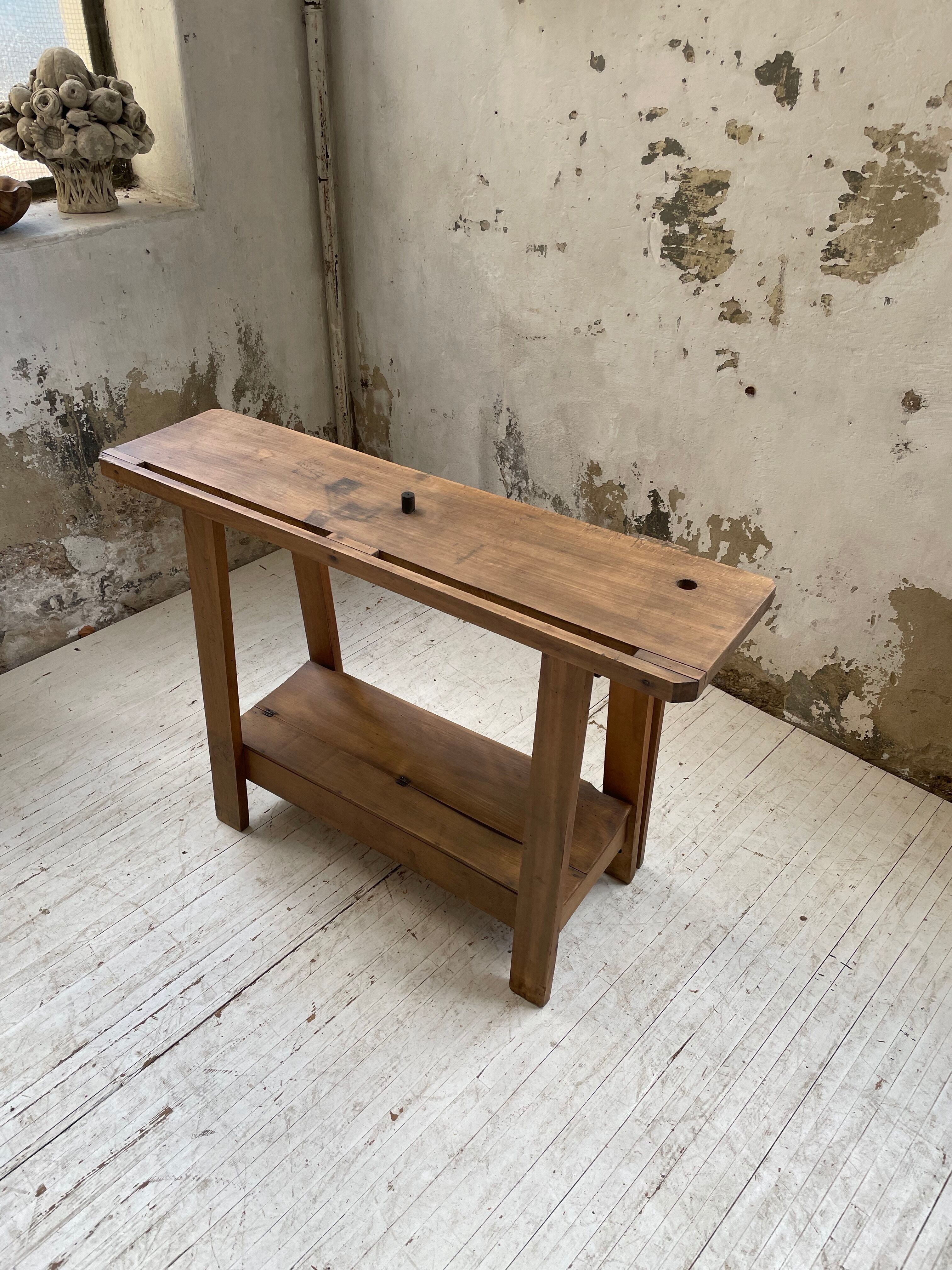 Established XS in cherry tree