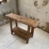 Established XS in cherry tree