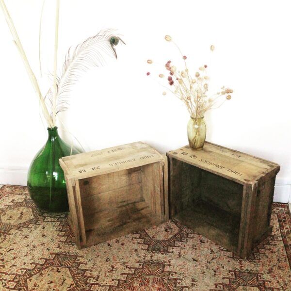 Set of two boxes of ammunition