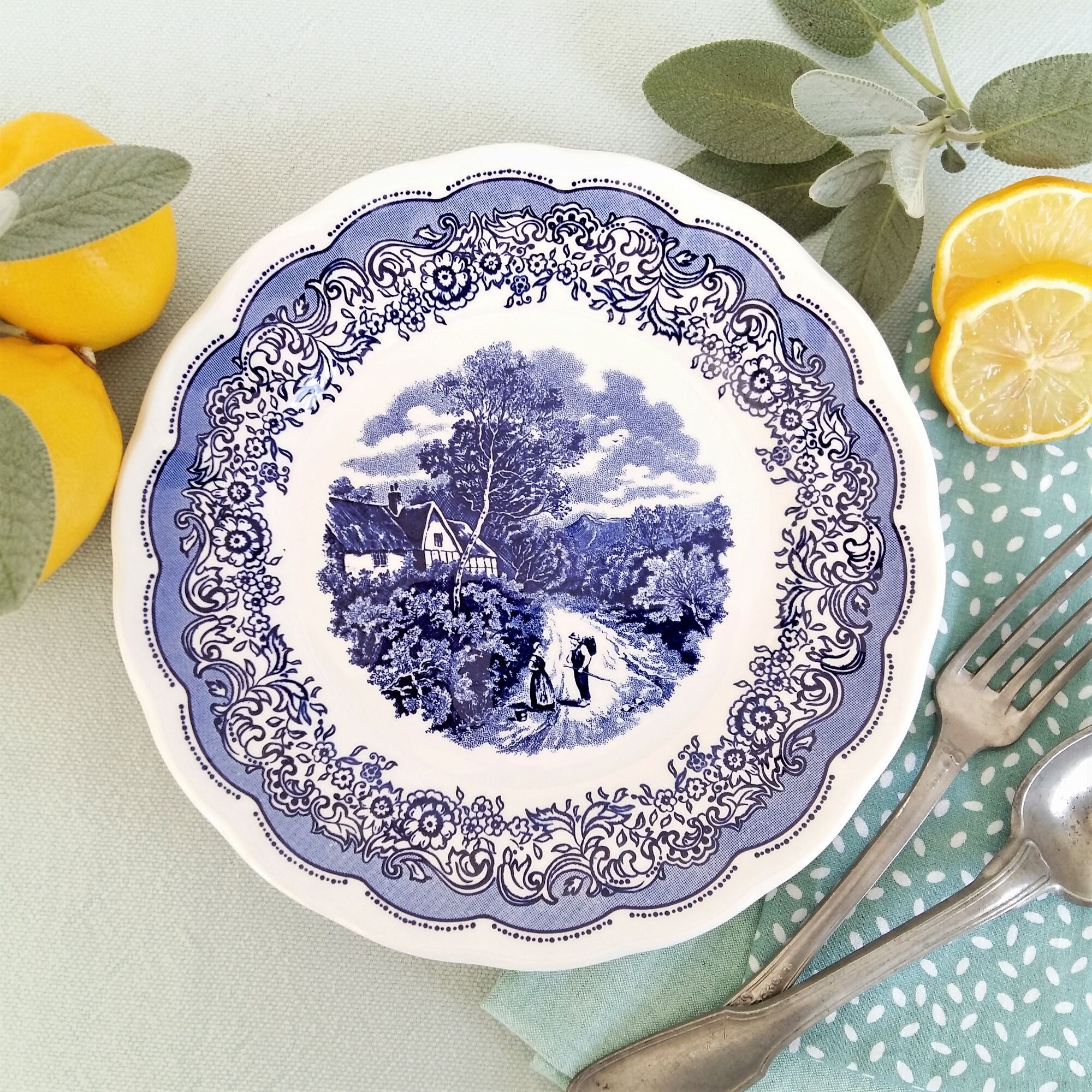 Lot de 6 assiettes de transfert