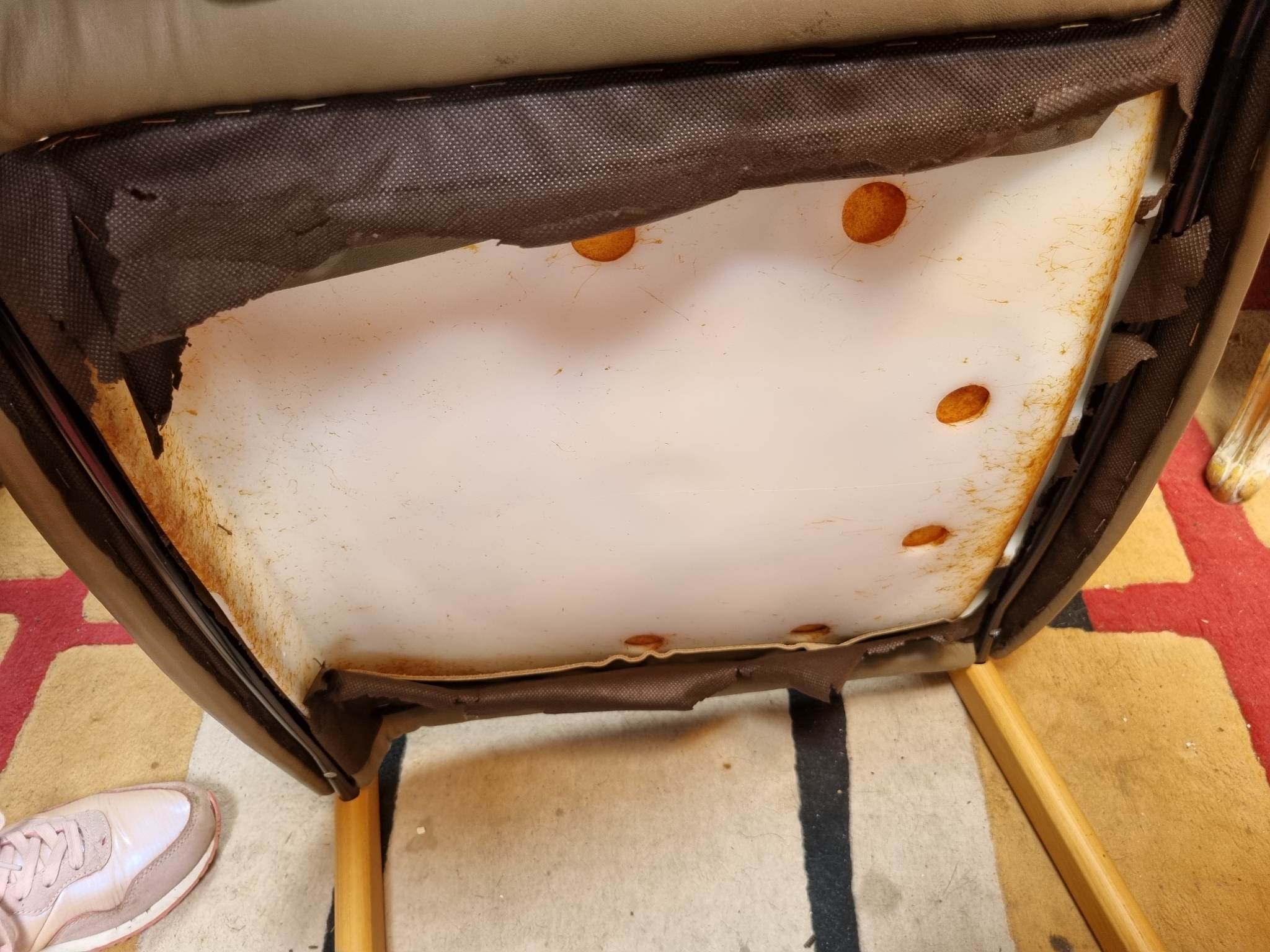 Scandinavian armchair in beech and leather