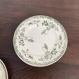 Set of 11 mismatched Terre de Fer plates