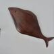Important wall decoration featuring a teak shark - 103cm - year 2012