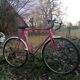 Velo route service courses lipers mafac racer