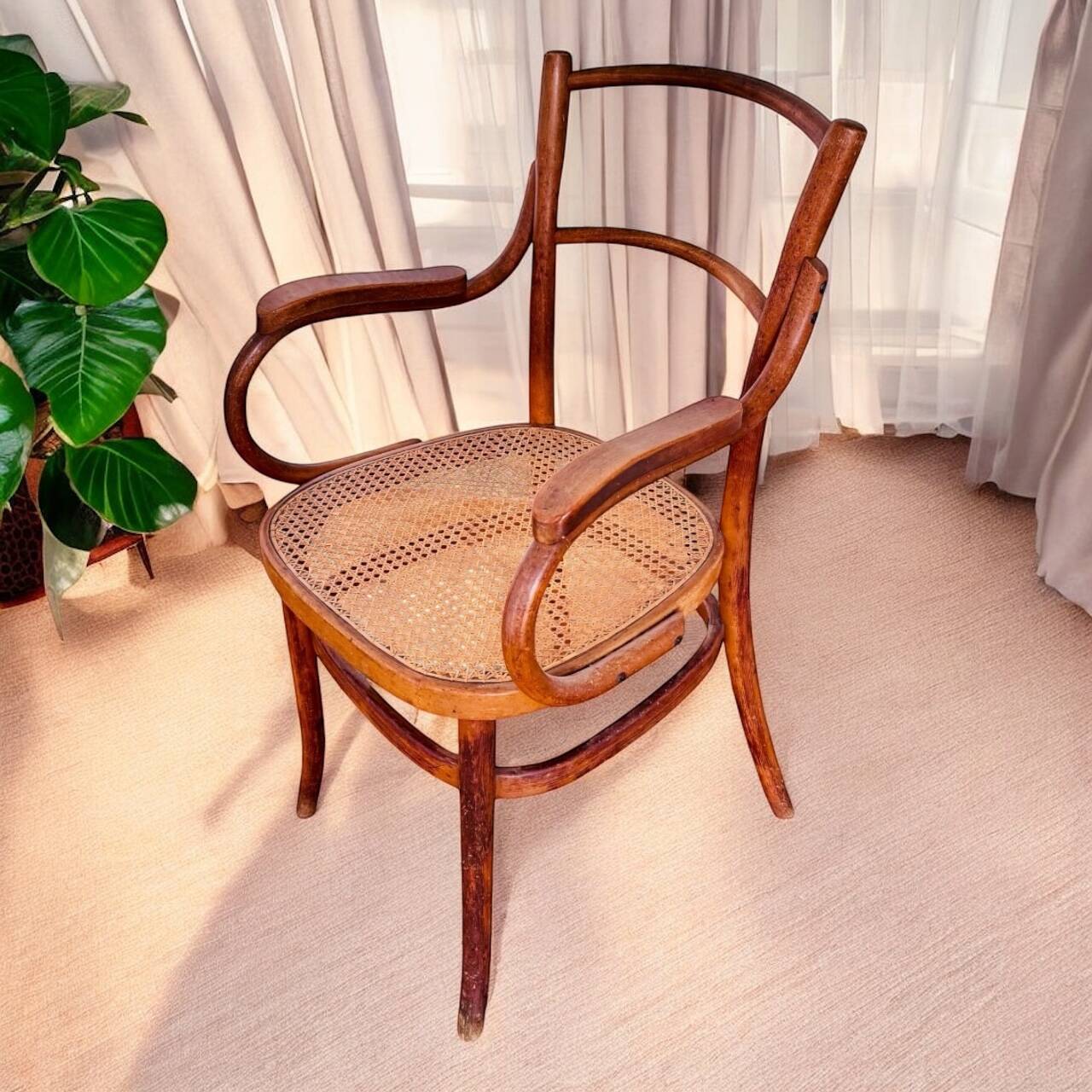 1900 curved wood armchair