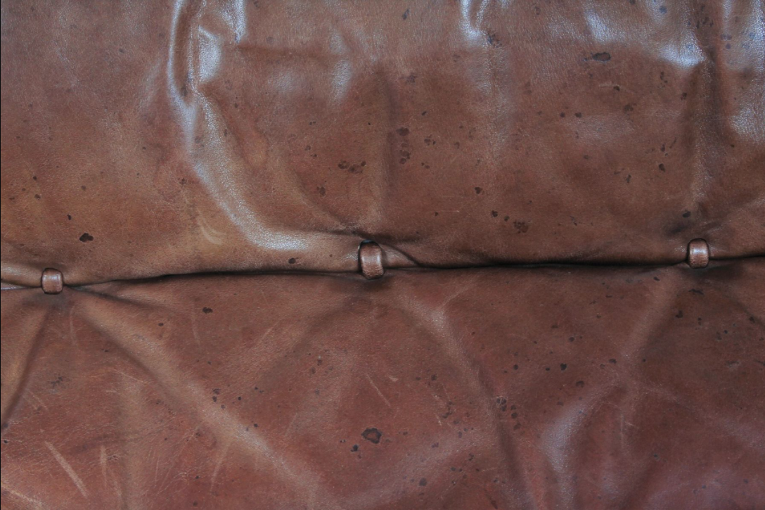 Canapé DSP2 par Robert Haussmann pour de Sede 1970