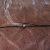 Sofa DSP2 by Robert Haussmann for de Sede 1970