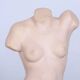 Original Mid-Century Statue in Patinated Plaster, Czechia, 1960s