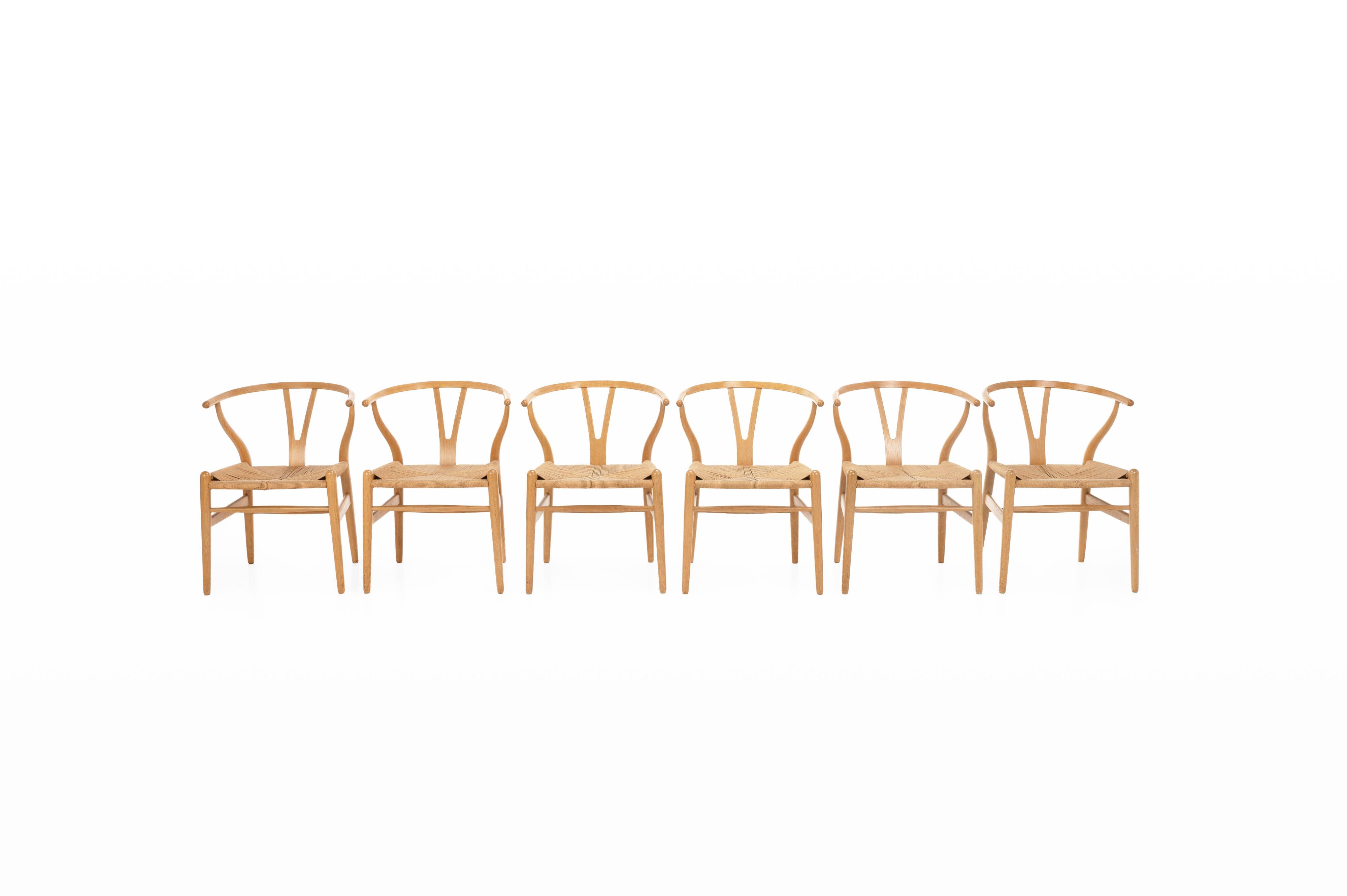 Set of 6 'CH24' wishbone dining chairs by Hans J Wegner for Carl Hansen, De