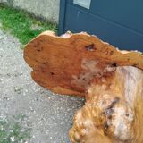 Table basse tronc d'arbre en loupe d'orme