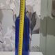 Cobalt Blue Glass Bottle