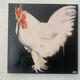 Rooster portrait in oil on canvas