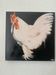 Rooster portrait in oil on canvas