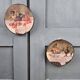 Set of 2 decorative plates ceraplat spain – still lifes