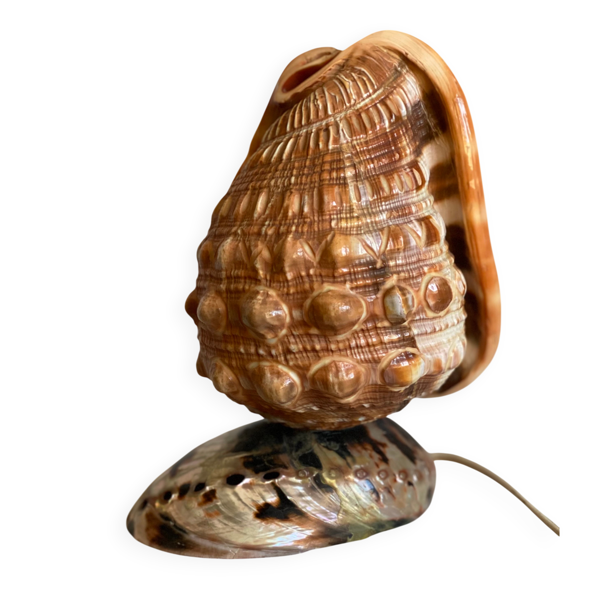 Vintage 1960s shell night light