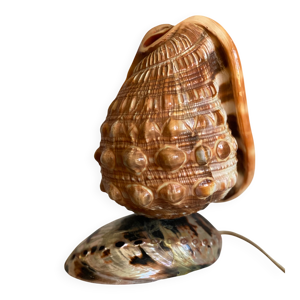 lampe veilleuse coquillage