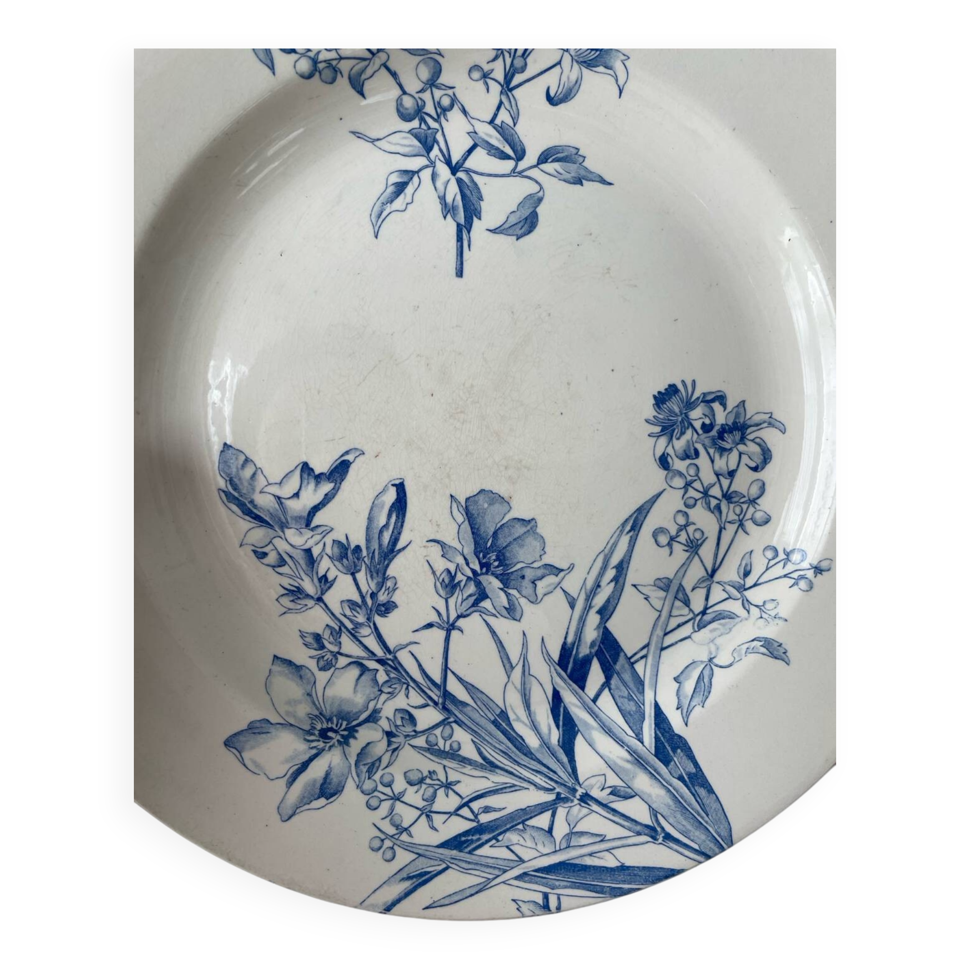 Assiette Boch Frères Keramis Pétunia