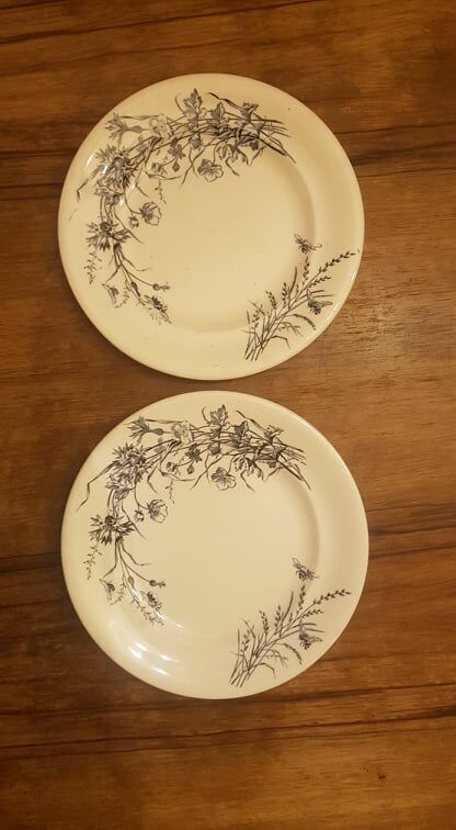 Set of 2 plates in Iron Earth SG model Fleurs des Champs