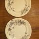 Set of 2 plates in Iron Earth SG model Fleurs des Champs