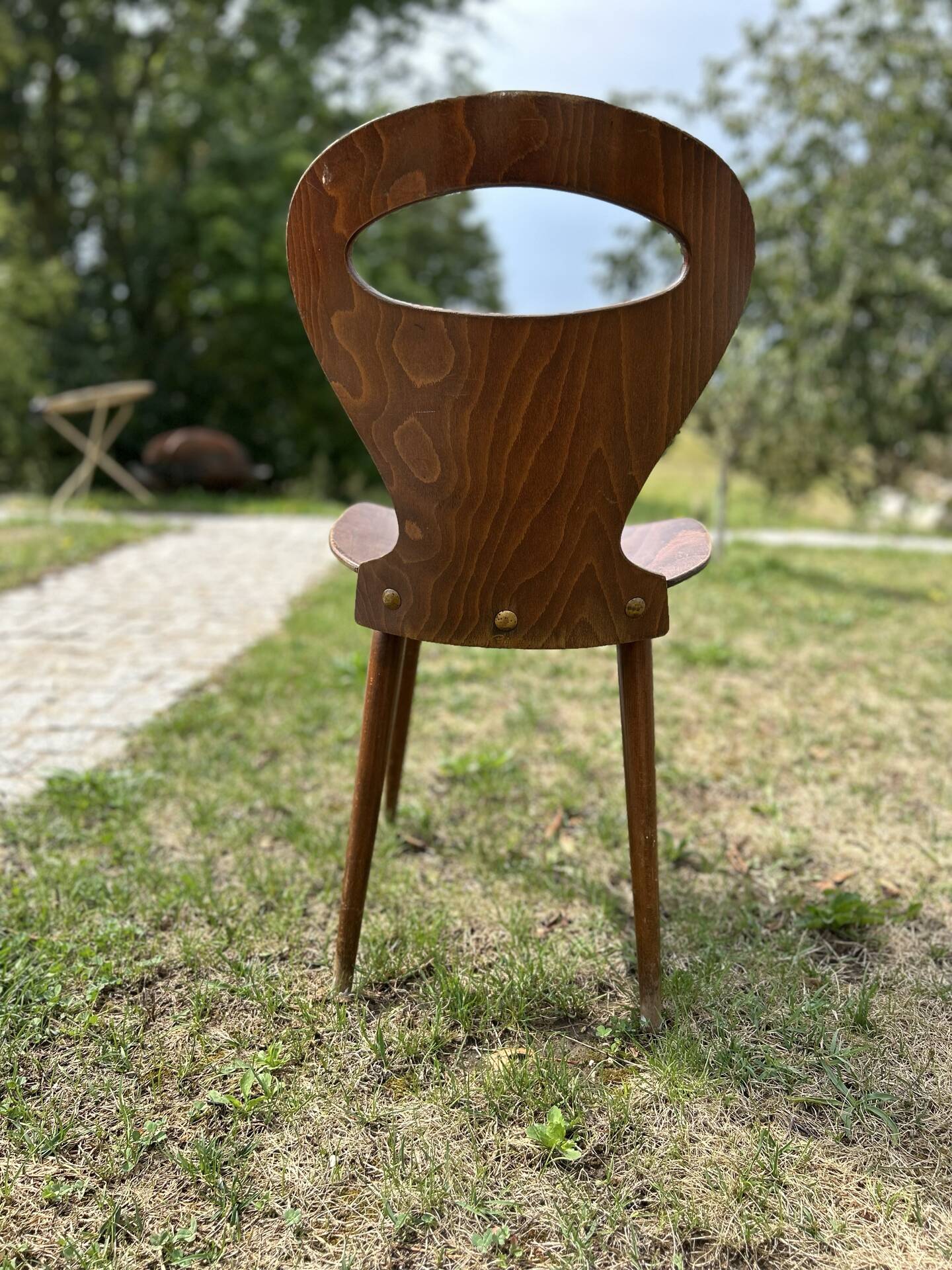 Baumann chair model Ants