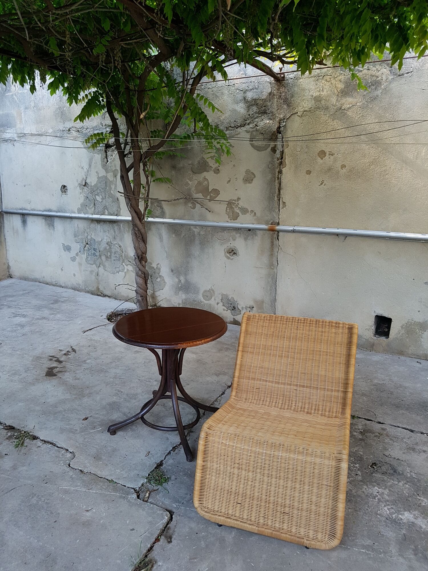 Coffee or round side table, curved wood, original label Ed Auricoste - Cahors (Lot) SB