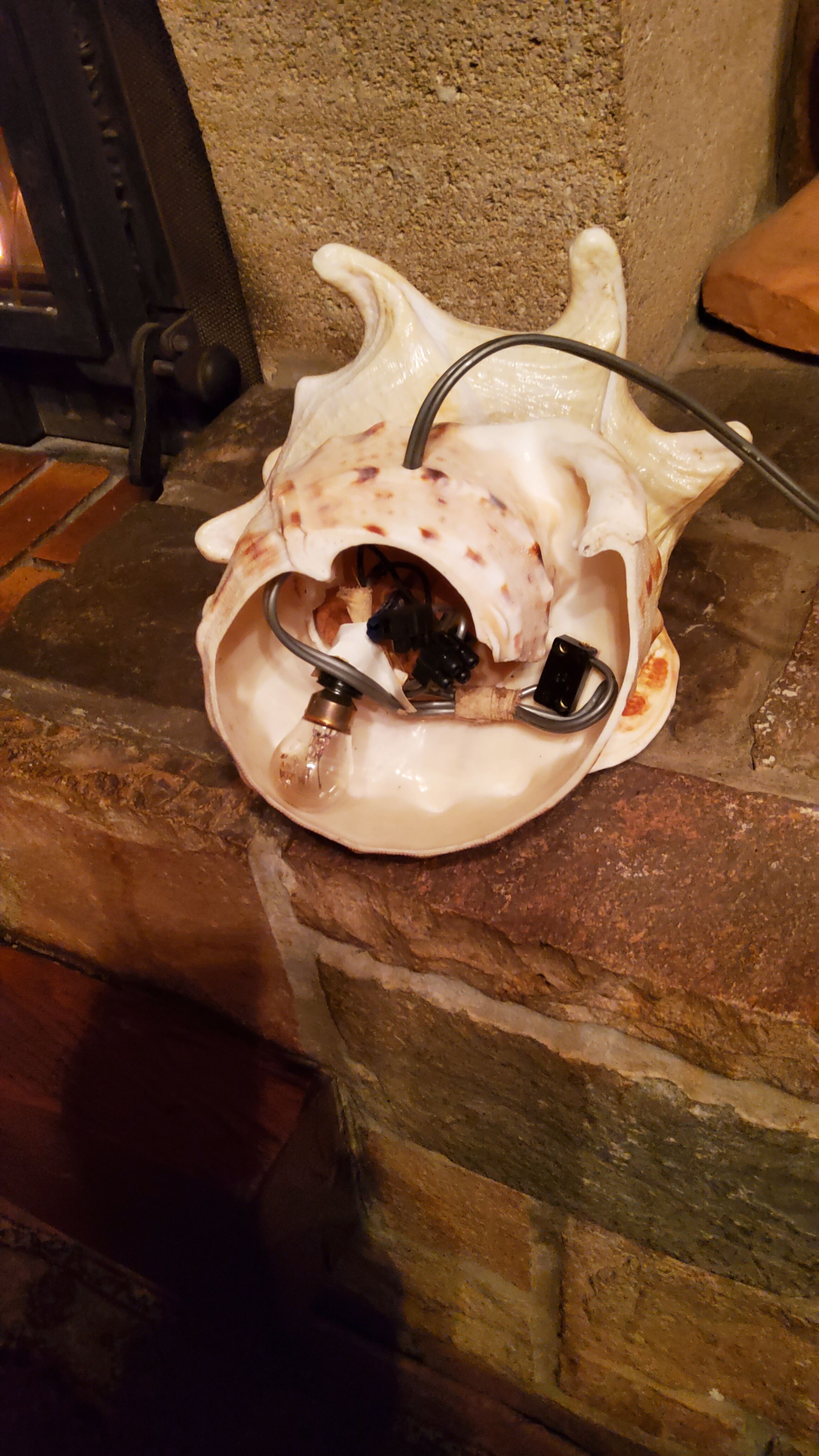 Shell lamp from the 50s