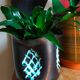 Ceramic potter's pot cover vase 50s