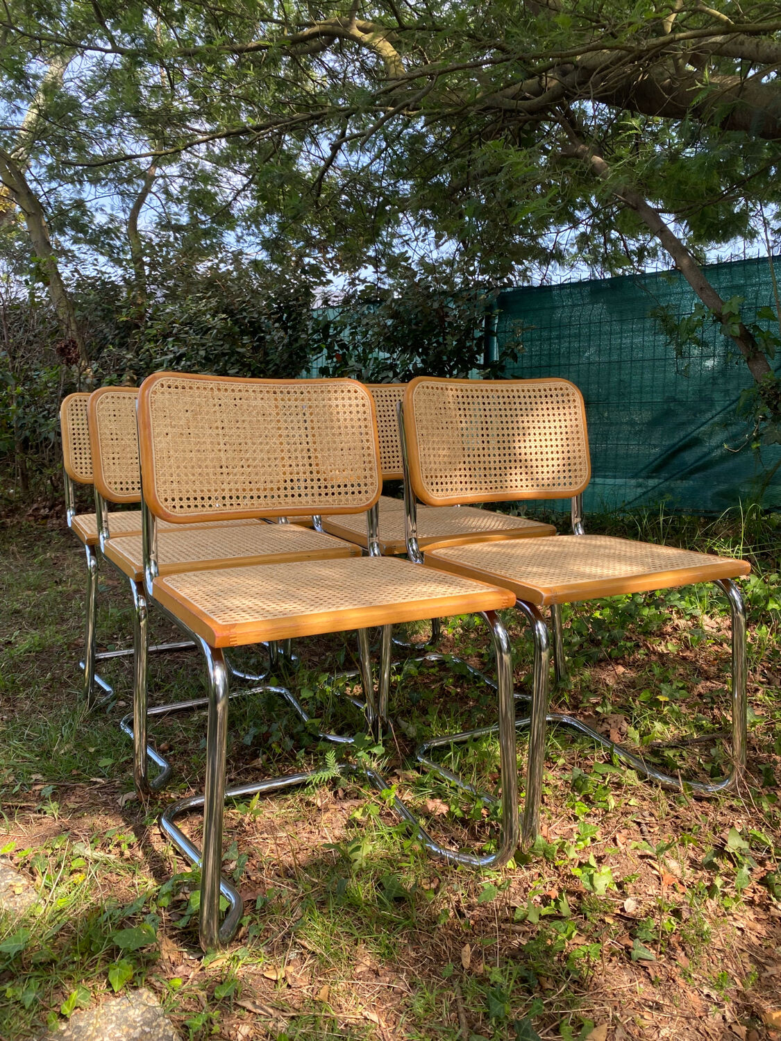 Set of 6 B32 chairs by Marcel Breuer