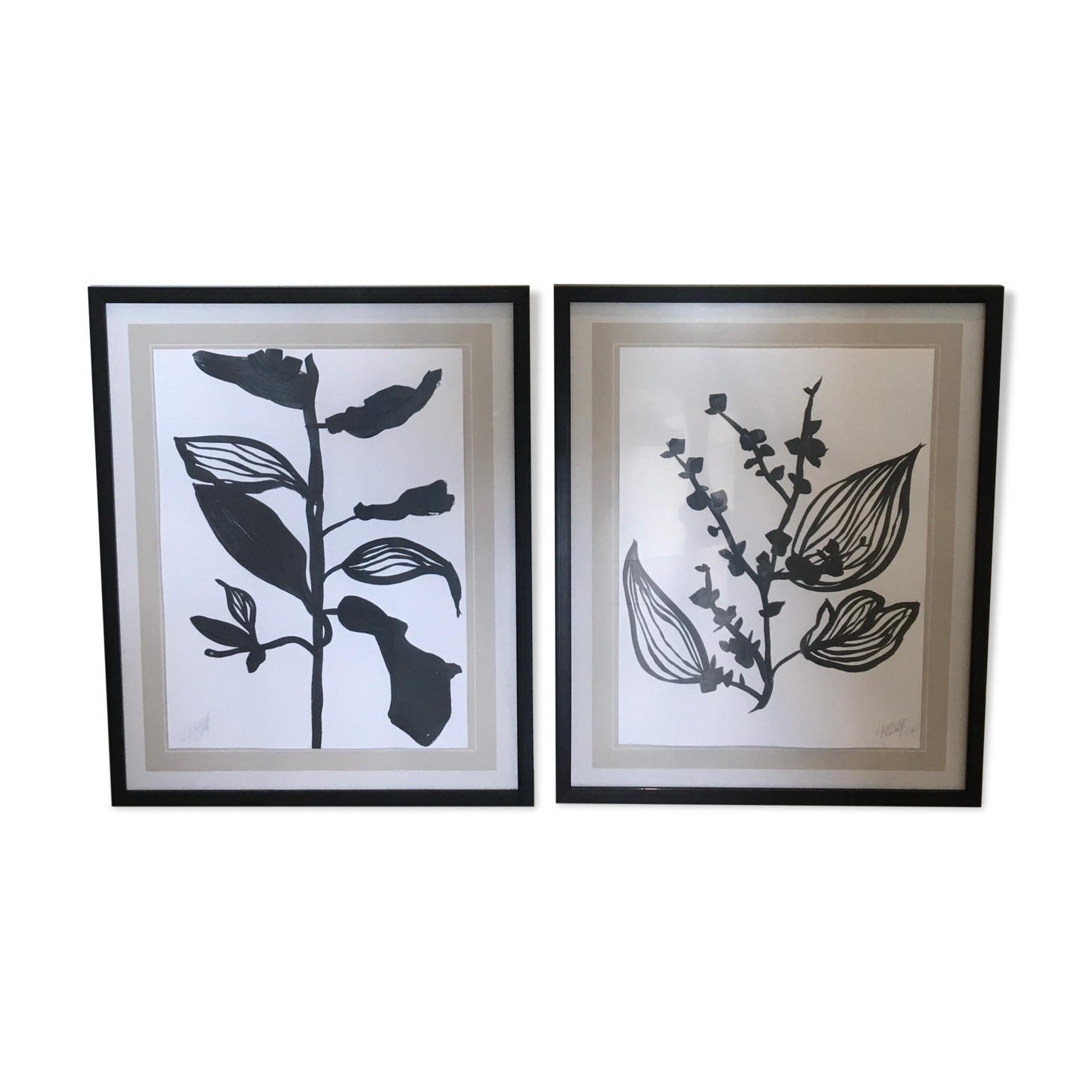 Diptych illustration plants caly