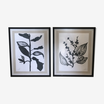 Diptych illustration plants caly