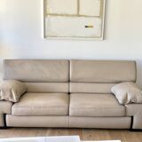 Roche-bobois sofa
