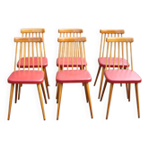 Set of 6 beech chairs from the 50s
