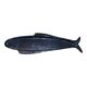 Ravier ceramic fish 50s