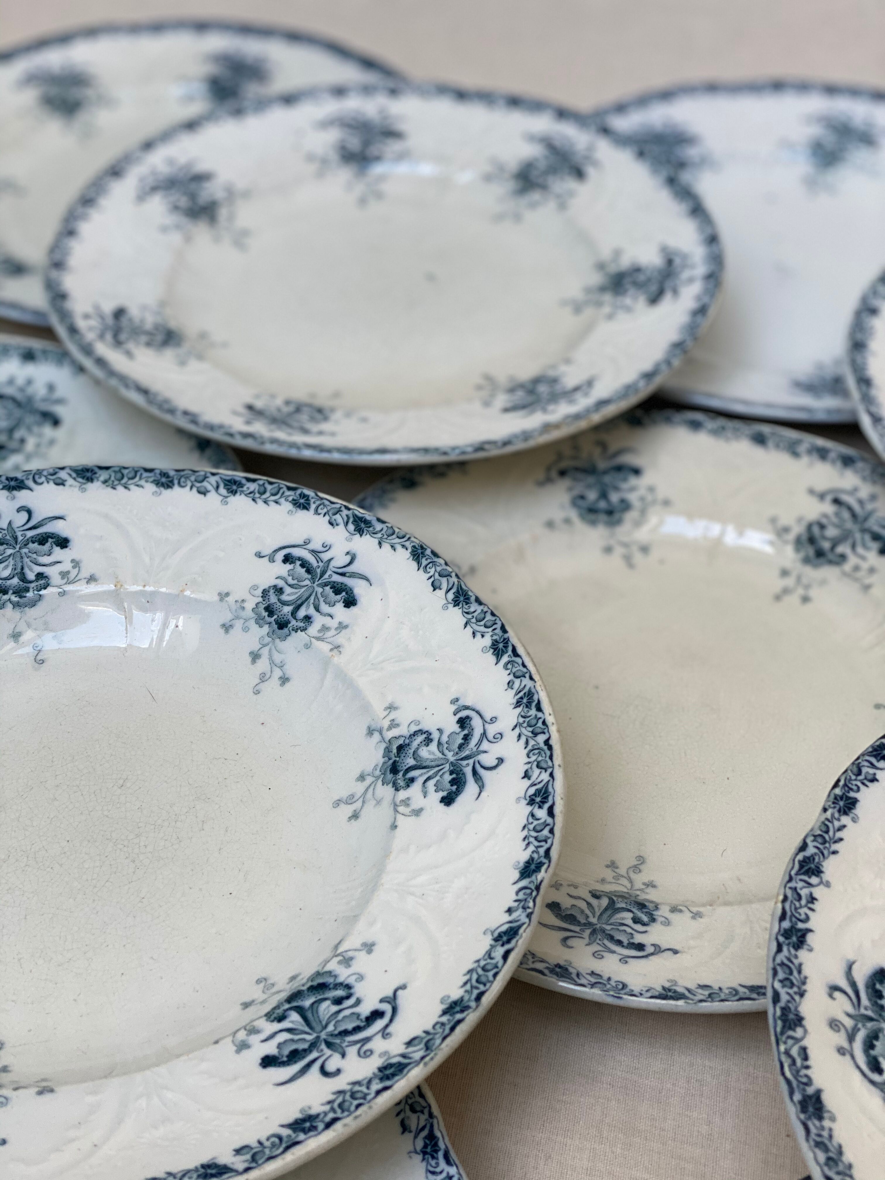 Plates iron earth flowers