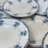 Plates iron earth flowers