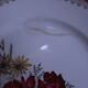 6  Assiettes plate en demi porcelaine signée FB Décor floral