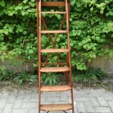 Library ladder