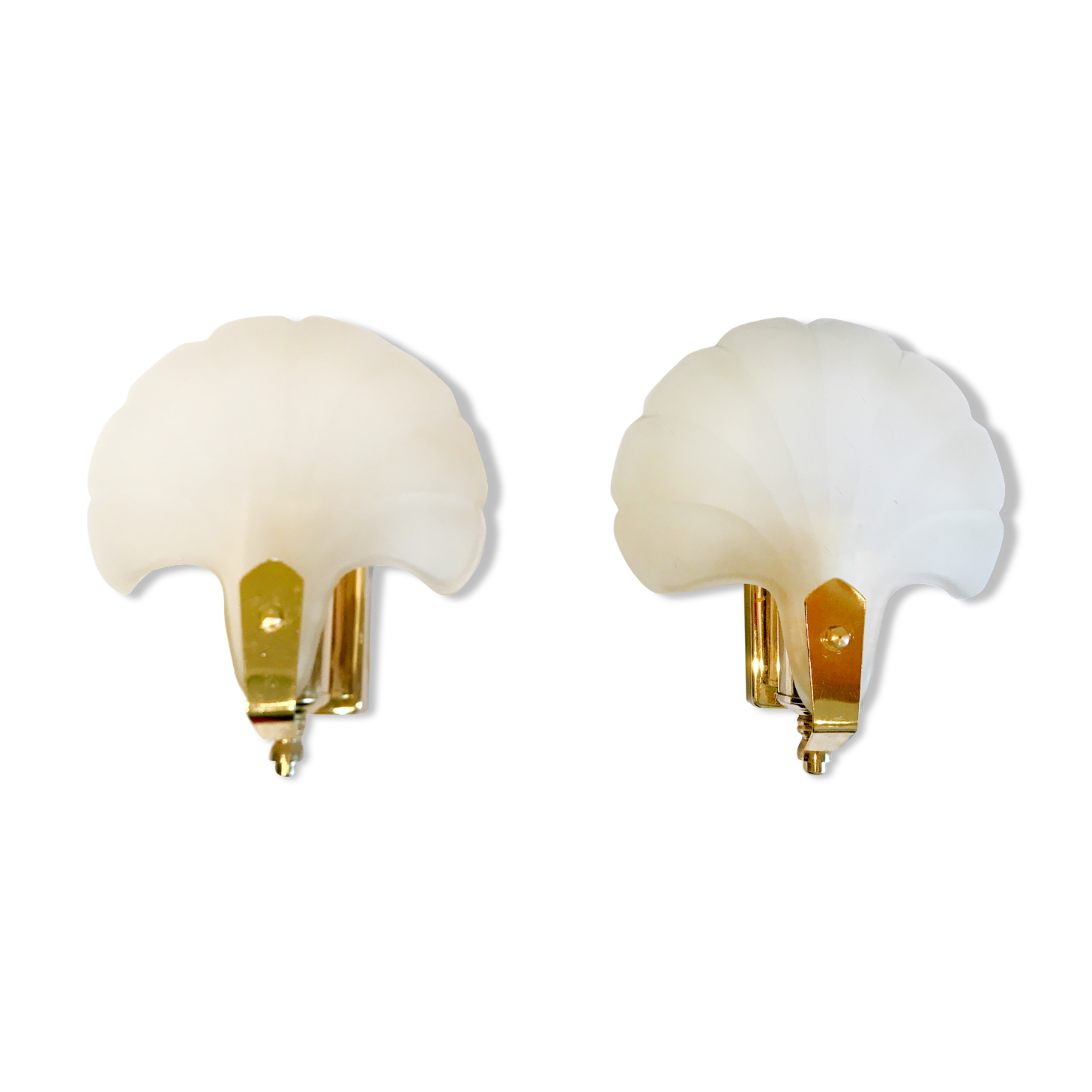 Pair of shell sconces