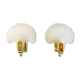 Pair of shell sconces