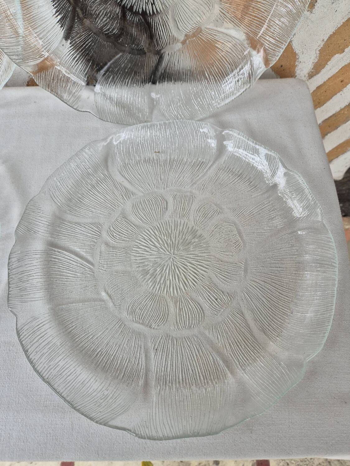 Arcoroc glass plates