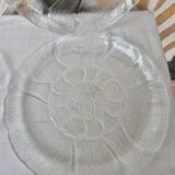 Arcoroc glass plates