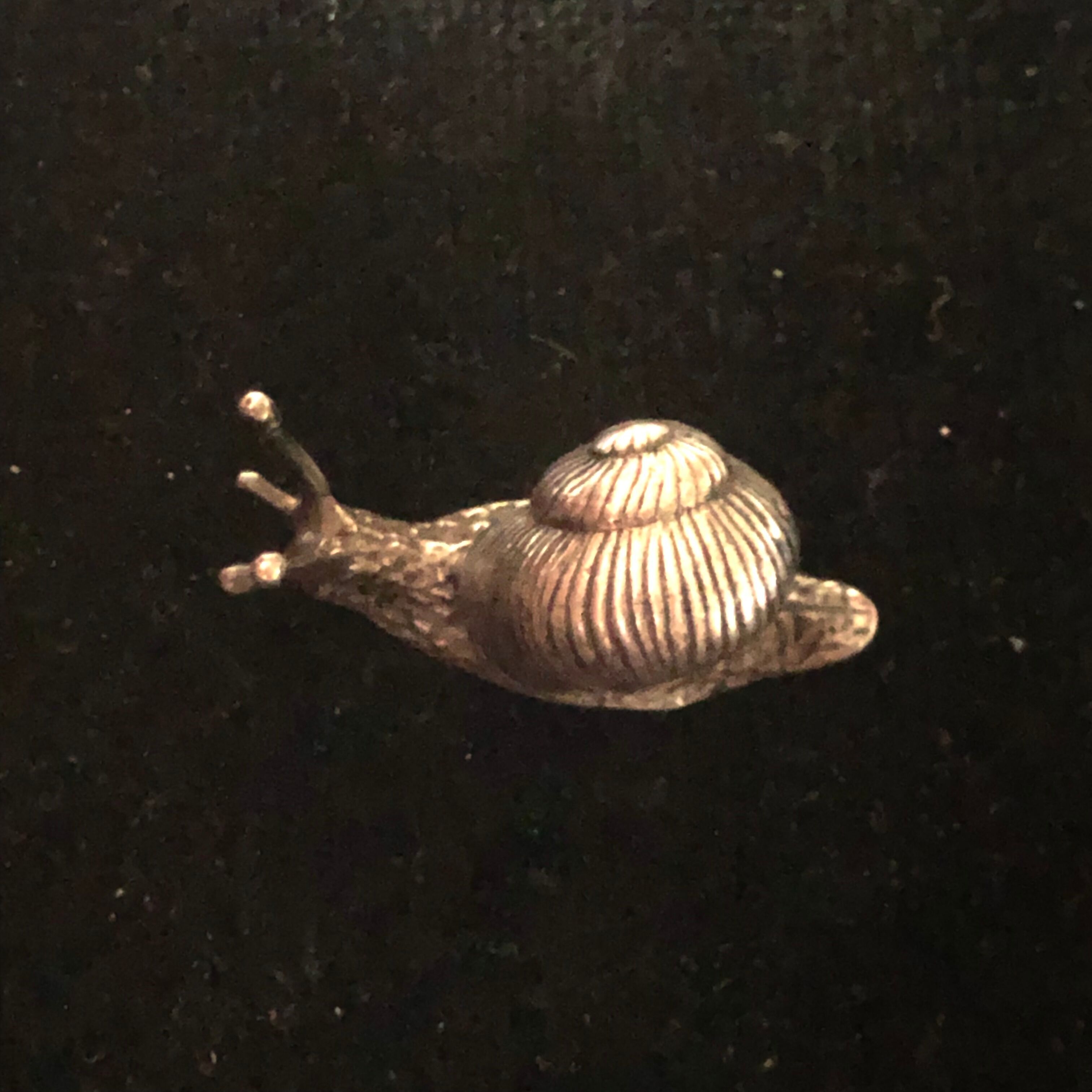 Small solid silver snail