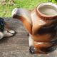 Dog pitcher zoomorphic teapot Cortendorf