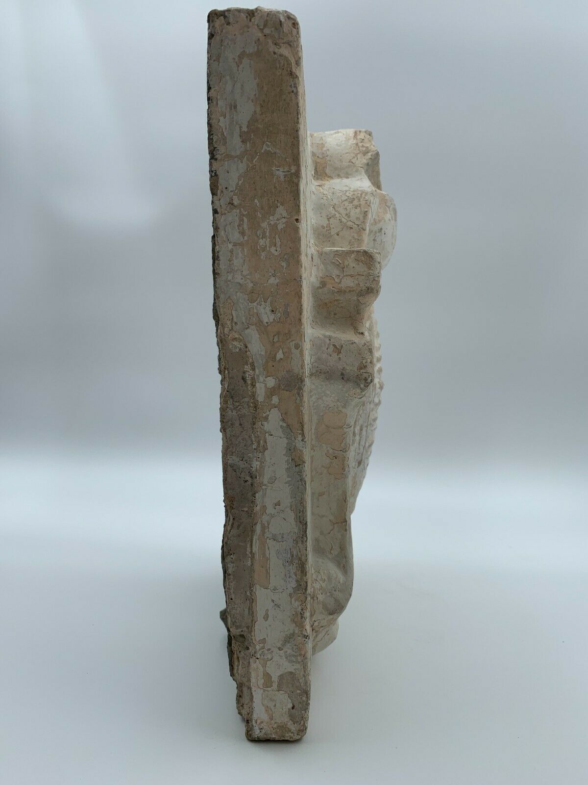STONE SHELL 19TH PATINA OF ORIGIN SCULPTURE