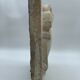 STONE SHELL 19TH PATINA OF ORIGIN SCULPTURE