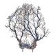 Large ancient natural gorgon mounted on a base.