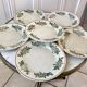 Set of 6 flat plates Iron Earth late nineteenth
